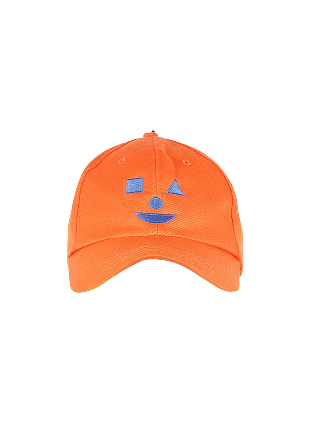 Blueberry orange embroidery baseball cap