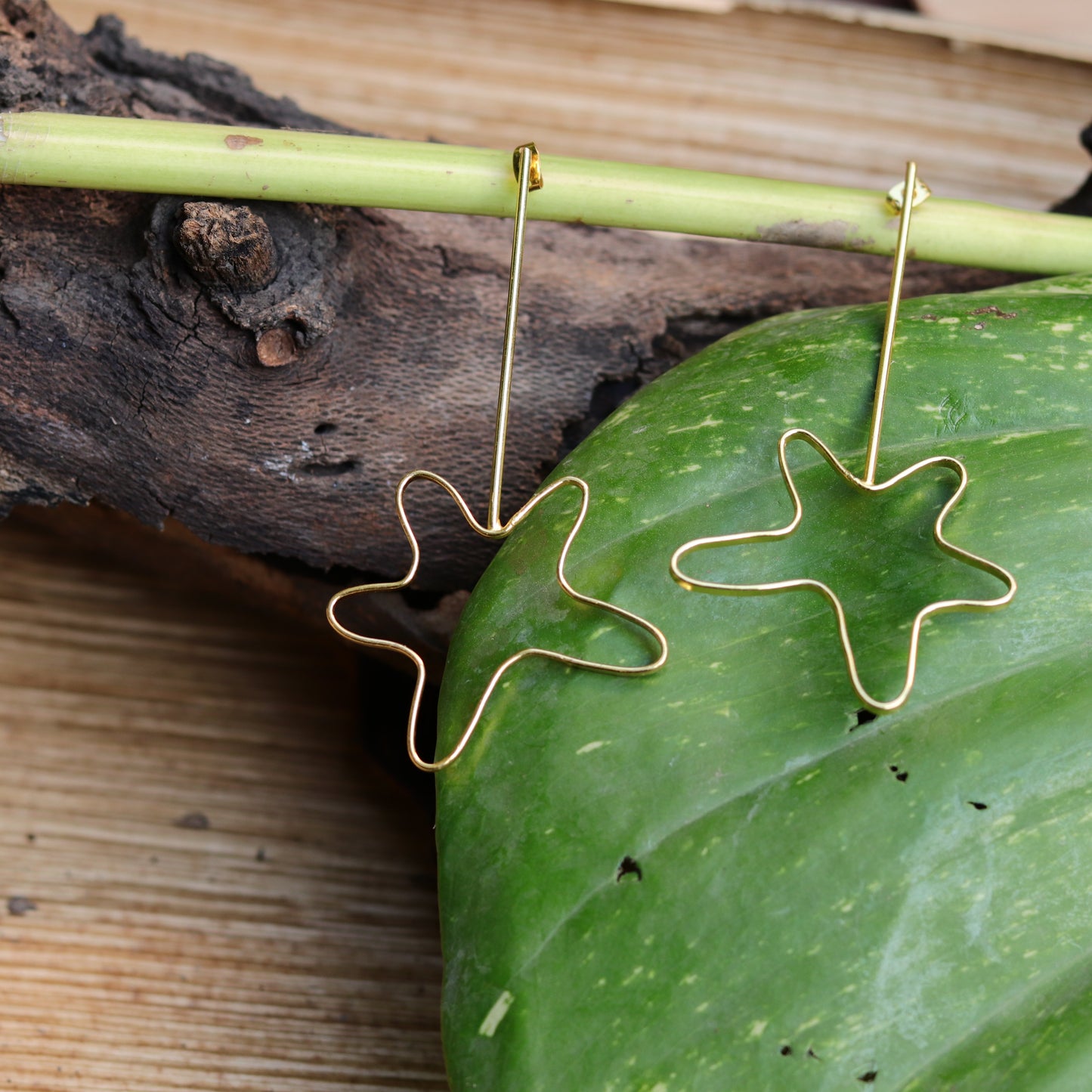 Blueberry gold plated star shape drop earring