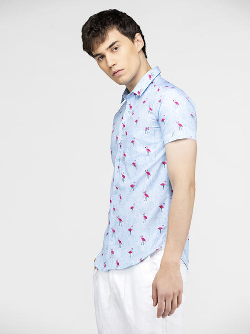 Flamingo bird printed blue shirt