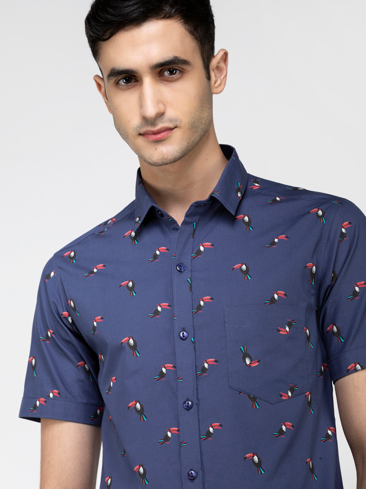 Lazy panda Toco toucan bird printed blue shirt