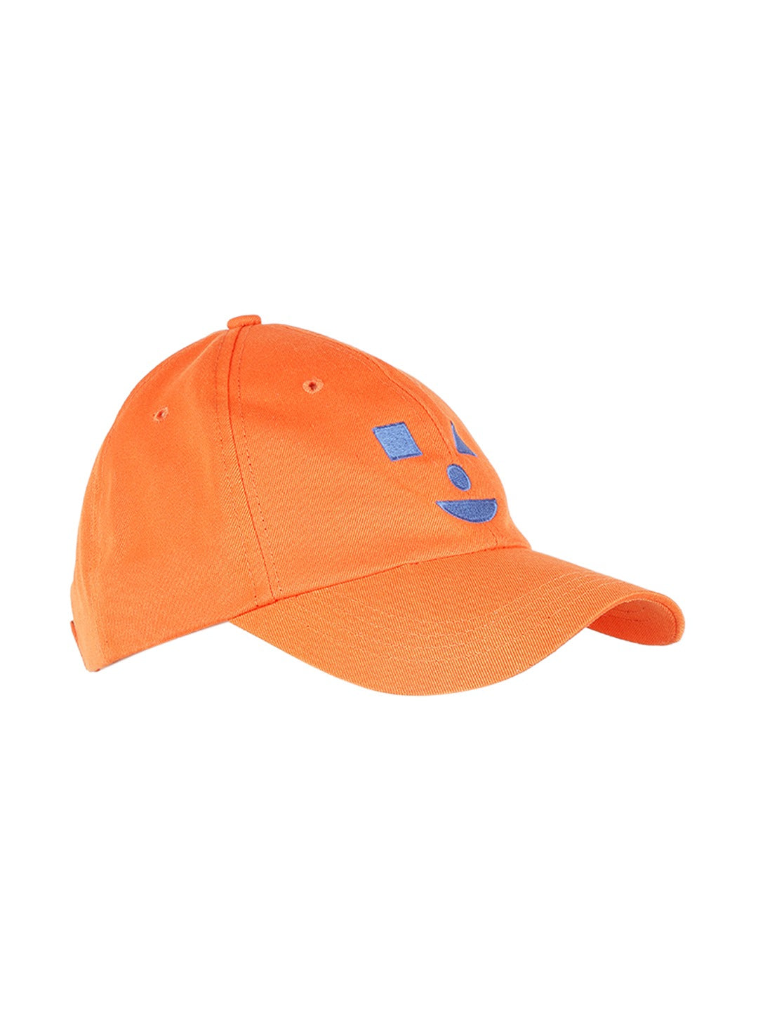 Blueberry orange embroidery baseball cap