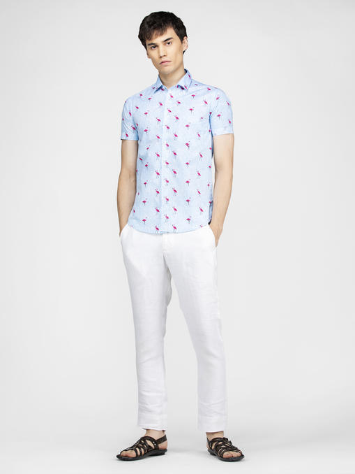 Flamingo bird printed blue shirt